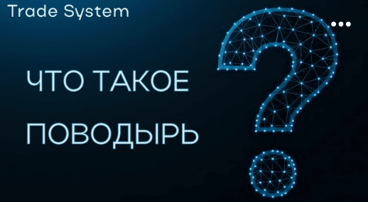 Что такое поводырь и как это использовать в трейдинге?